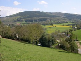 &eacute;crin de verdure
